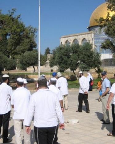 b07aaf6006220e0a6f42e8efd8f9e302