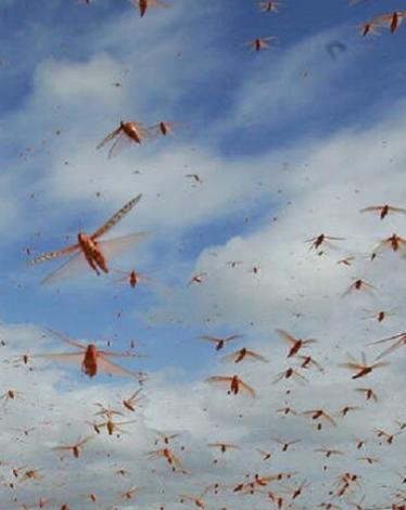 5e4eb30c4236044143403585