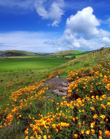 47591a6b7deb5adb667c51ce1c2ad259