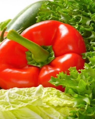 5e3d194c423604338a01dc58