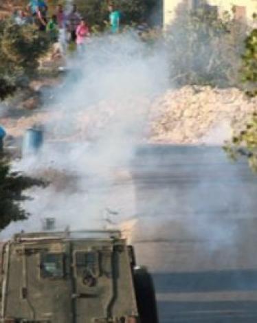 11173258380306390033901733338157