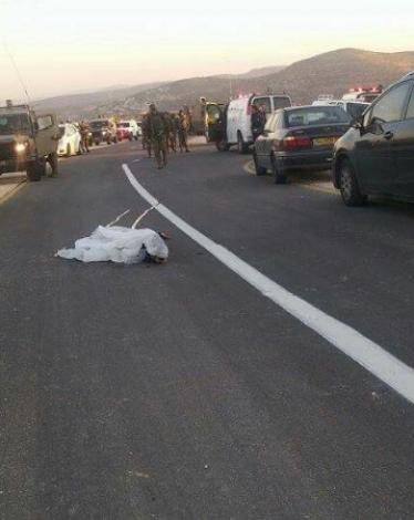 12814639_1677227395868571_955235737630932176_n