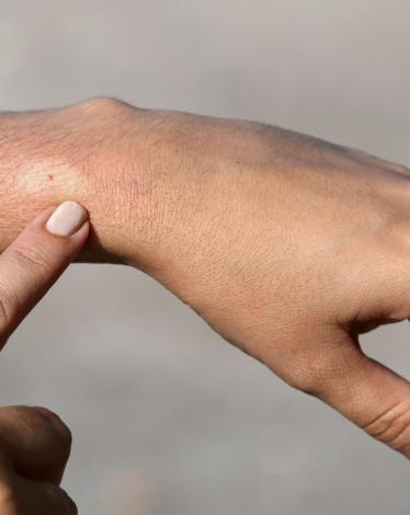 GettyImages-184988794-570278d83df78c7d9e6c1244