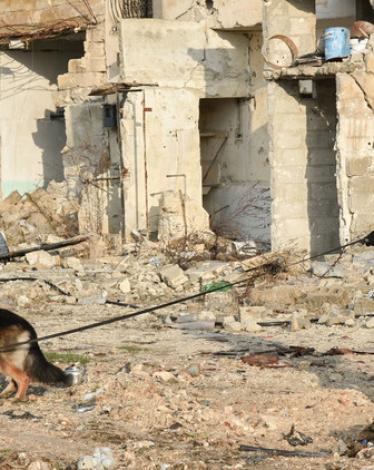افتتاح مركز تدريب روسي في حلب