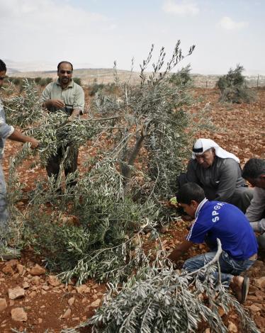 5f4d237dfbcf18281c594063e1fb3170