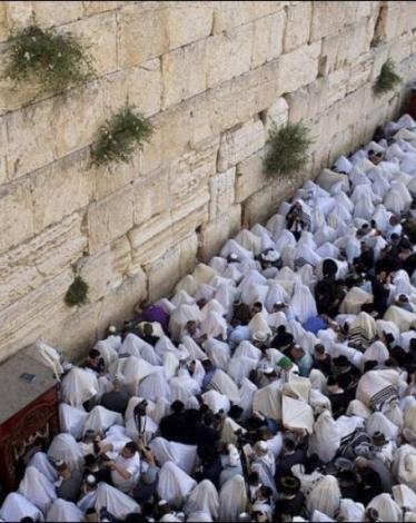 مستوطنون في حائط البراق