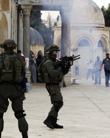 95ee26325178c84492a871d4f37441e6