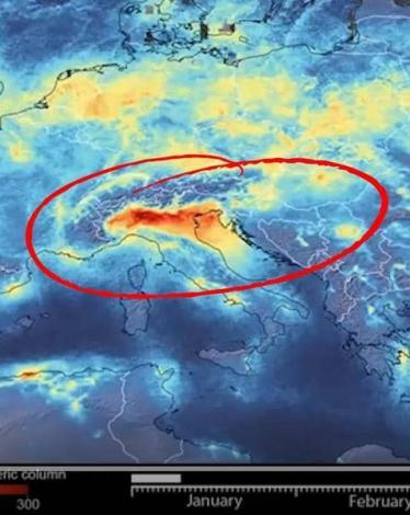 فيروس كورونا 