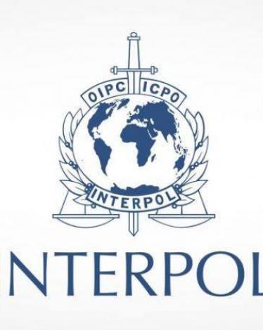 إنتربول