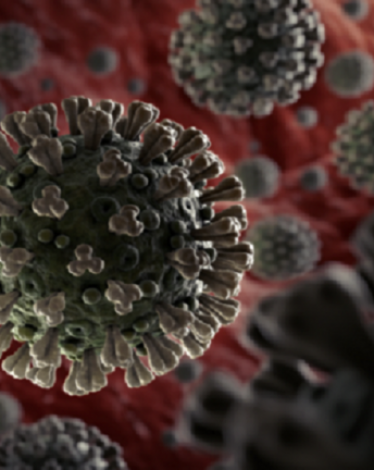 5e78c3ba4c59b71e4c10d1b5