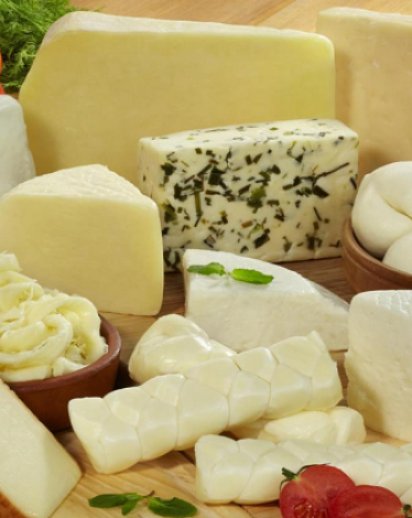 دراسة: تناول الجبنة يطيل عمر الإنسان