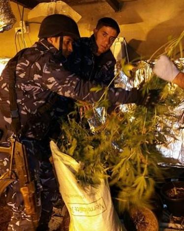 17275057_1564295763599607_134984357_n