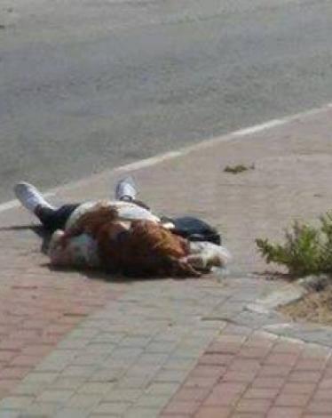 منظمة المرأة العربية تدين إعدام فلسطينية على حاجز إسرائيلي