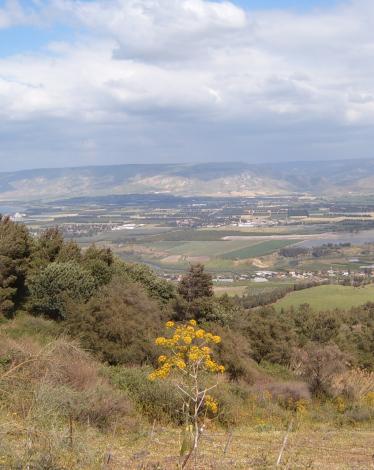 Jordanvalley