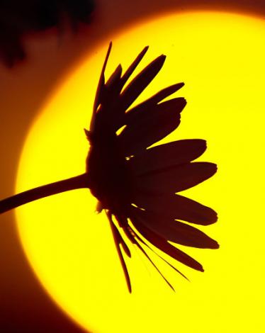 ارتفاع درجات الحرارة