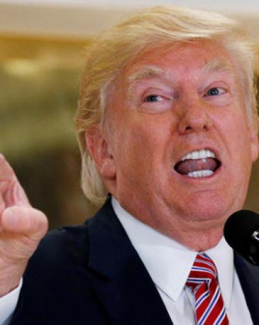 trump (11)