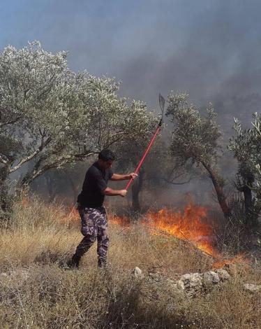 حرائق غرب نابلس