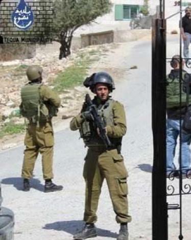 11164360455058288086223428133153