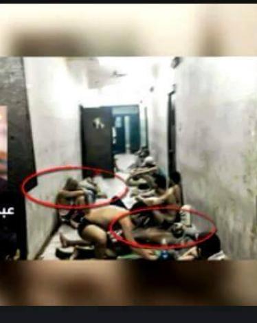 14111669_1331817866847399_31429103_n