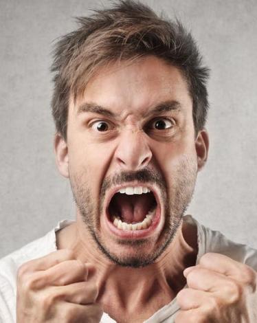 1b019473-6a2f-4054-808d-93058085d1f1_16x9_1200x676