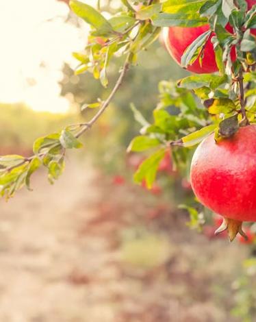 9a97364f-9dda-47ef-a4f9-b7887819cef6_16x9_1200x676