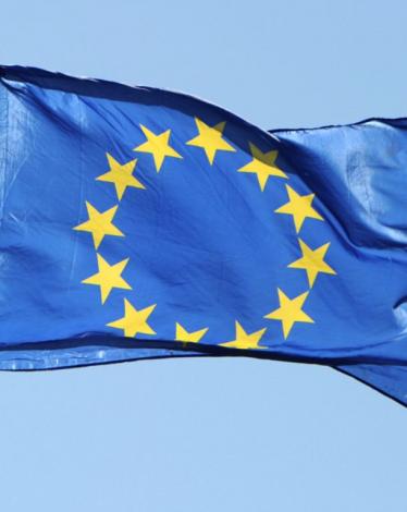 97cdf0e3d9c8a8fe0f245a615a9b78e2