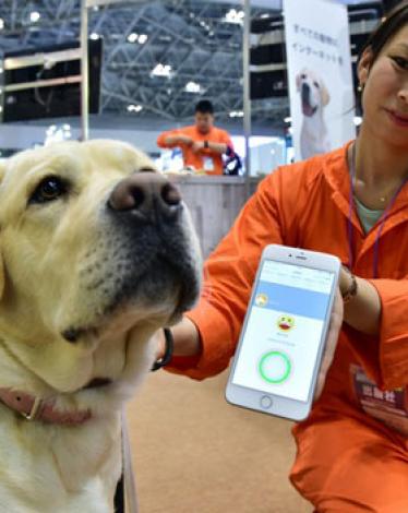 1201618113356161طوق-لقراءة-أفكار-الكلاب-والقطط-على-الهاتف-الذكى-(2)