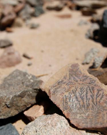 5e4563614236040c0c528abe