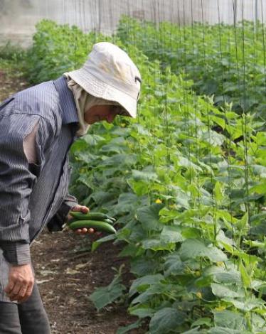 cc167e9e-54c7-469e-816f-4582ce7cc92e (1)