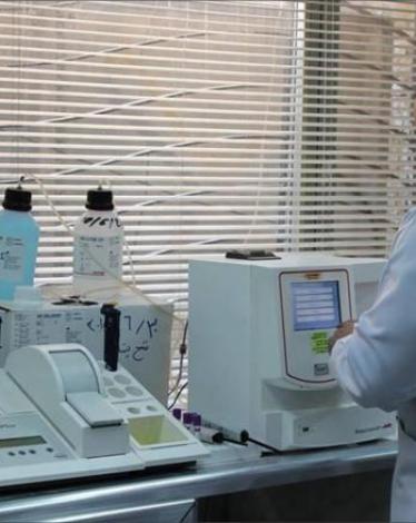 cc167e9e-54c7-469e-816f-4582ce7cc92e (4)