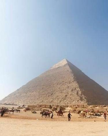 مصر.. عودة الذهب الأبيض المصري إلى الأسواق العالمية