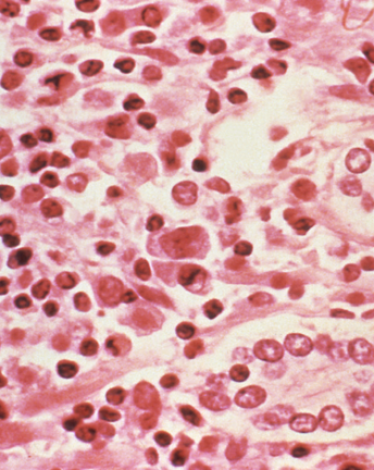 5e7b13b84c59b7117a3ec791