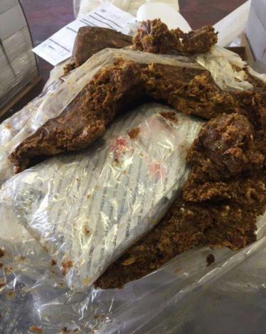 13221447_1375445145805478_3749286032660569073_n