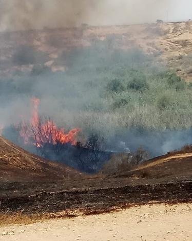 حريق جنوب 