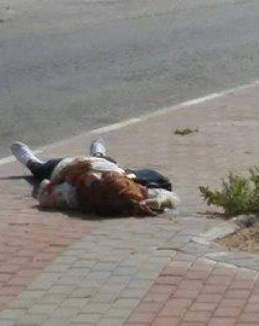 14666070_1596964373679310_6361541349115600540_n