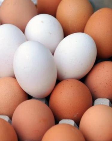 هل البيض البني أفضل من الأبيض؟ ولماذا أغلى؟