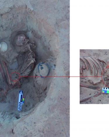 2018_11_14_14_19_38_362