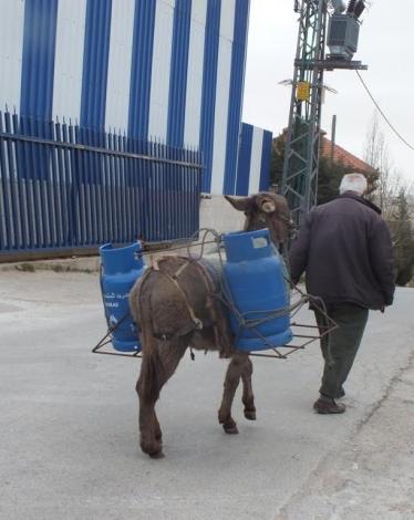 656800de-1f0f-439a-92ca-58dc63c79b24