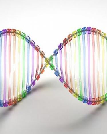 DNA-598x337