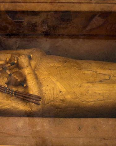 اكتشاف القرن..