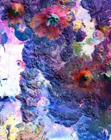 12417569_1367979609911122_4722241097425010578_n