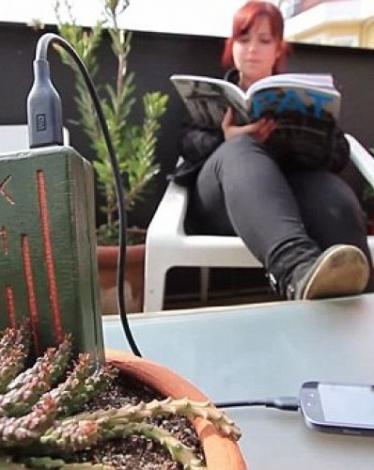 شحن الهواتف عن طريق النباتات