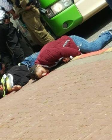 10271622_1346861958689554_7897356197495562545_n