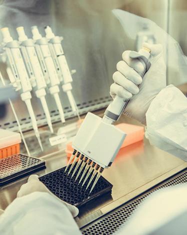 كيف يمكن للبكتيريا التي تسبّب التسمّم الغذائي أن تُستخدمَ لمهاجمة الخلايا السرطانية؟ سؤال يُطرح والإجابة عليه في الآتي:  تُستخدم السالمونيلا المعدّلة وراثيّاً لمكافحة السرطان، إذ تقتل الخلايا السرطانيّة، بينما تترك الخلايا السليمة. كما يمكن للسلالة الجديد