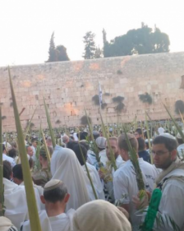 مستوطنون في حائط البراق