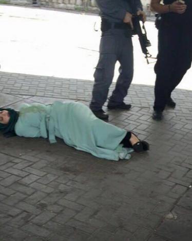 12088520_1008072252568563_3345772418020608382_n