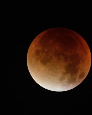 فرصة نادرة لرؤية 