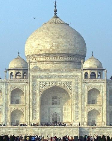 الحشرات تهاجم "تاج محل"