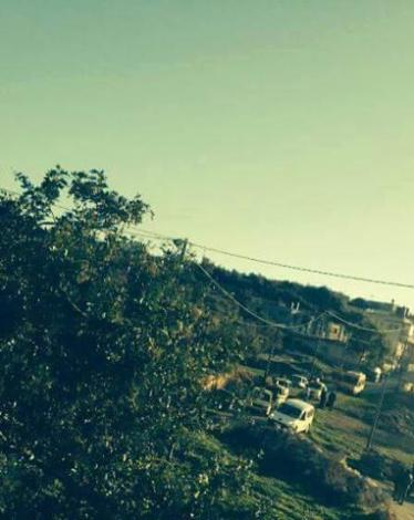 12243149_1243196199056131_5111504304682573604_n