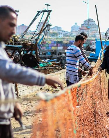 12386685_910471275702976_1021536623_n